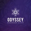 OE  Avatar
