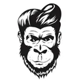 SG  Avatar