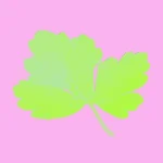 ～C  Avatar