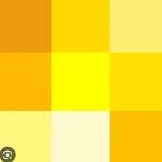 C(  Avatar