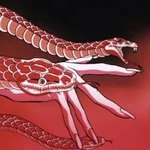 KM  Avatar