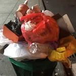 FV  Avatar