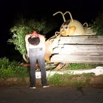 G  Avatar