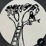 NS  Avatar