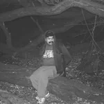 Ɐ  Avatar