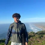 MF  Avatar