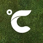 CD  Avatar