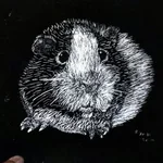 RT  Avatar