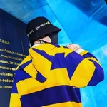 L  Avatar