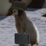 JE  Avatar