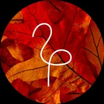 F  Avatar