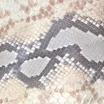 m  Avatar