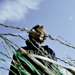 M  Avatar