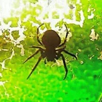 a  Avatar