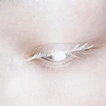 CP  Avatar