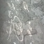 P✩  Avatar