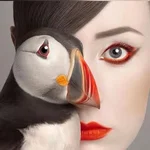 FH  Avatar