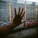 j  Avatar