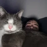 BA  Avatar