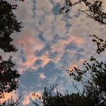 K]  Avatar