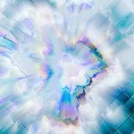 WD  Avatar