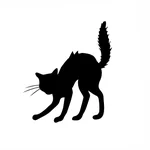 D  Avatar