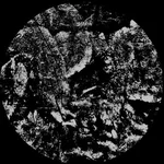 D  Avatar