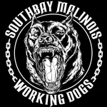 SD  Avatar