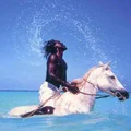 DK  Avatar