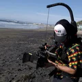 ZM  Avatar