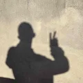 DL  Avatar