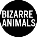 TL  Avatar