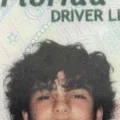 r  Avatar
