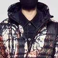 DL  Avatar
