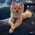 JH  Avatar