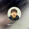 NN  Avatar
