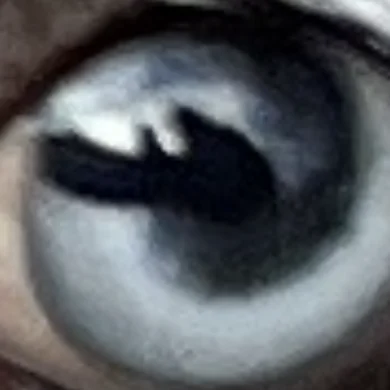 AS  Avatar