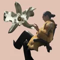 MM  Avatar