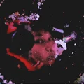 S  Avatar