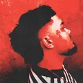 F  Avatar