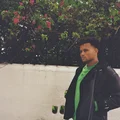 BF  Avatar