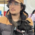 ZF  Avatar