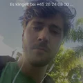 MS  Avatar