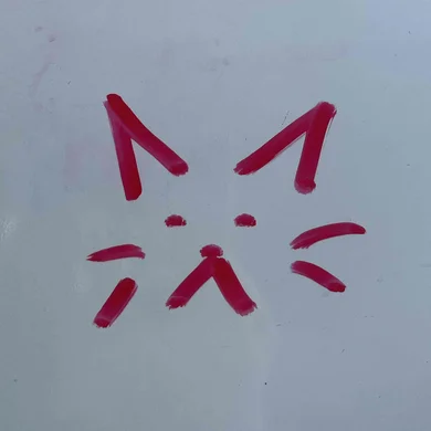 SS  Avatar