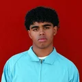 zv  Avatar