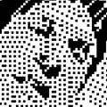 KM  Avatar