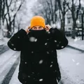 MS  Avatar