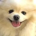 JK  Avatar
