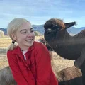MS  Avatar