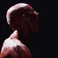 SO  Avatar